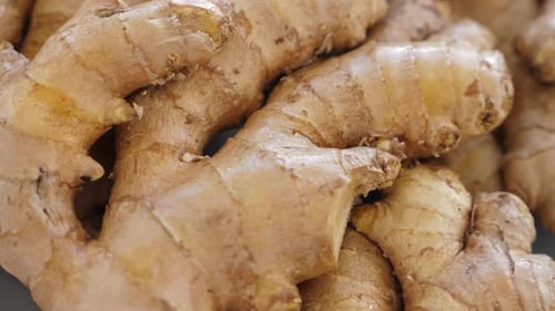 Fresh Ginger Root Close Up Panning Shot
