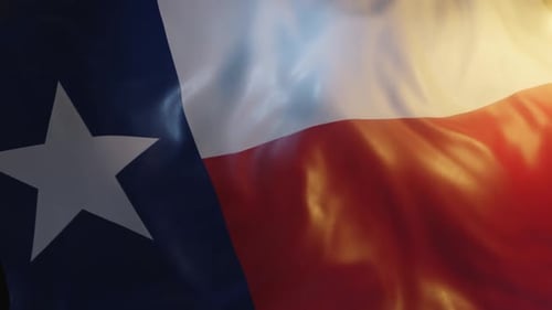Texas State Flag