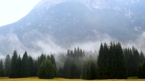 Fog Smoke Forest Mountains