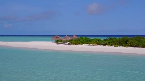 Aerial drone scenery of shore beach wildlife by ocean and sand background