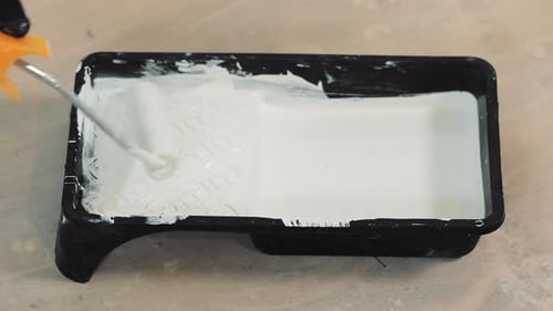 Paint Roller Coating in White Paint in Tray