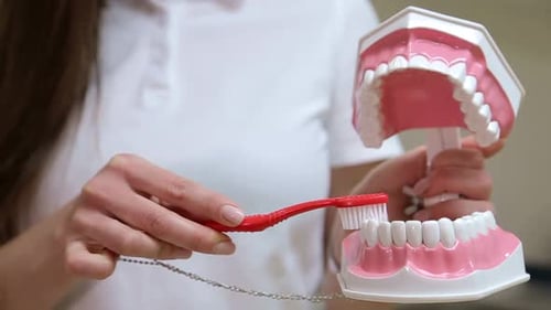 Cepillado de dientes, dentista femenino, higiene bucal
