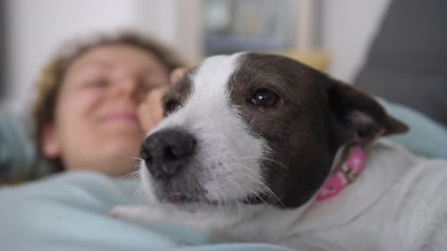 Woman Petted Dog Lying on Bed at Home