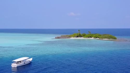 Aerial texture of seashore beach wildlife by blue ocean and sand background