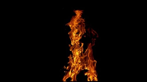 Dynamic Fire Flames Isolated on Black Background