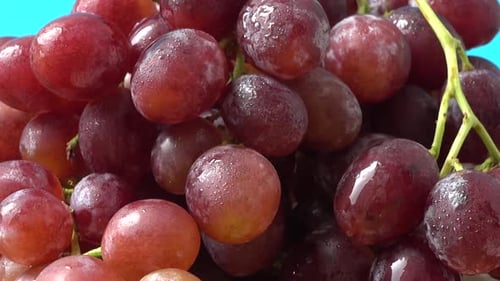 Grapes 7