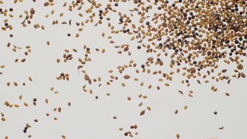 Natural Cereal Seeds Moves Slow Motion Raw Seed Food Organic Top View Texture