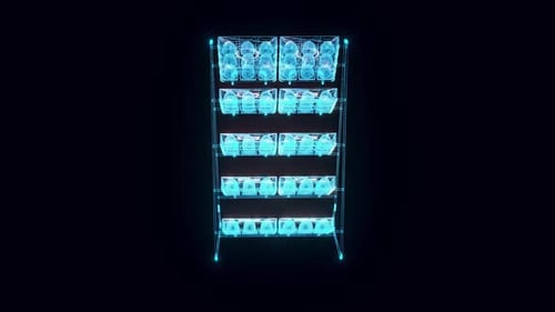 Market Rack Chocolate Hologram Rotating Hd