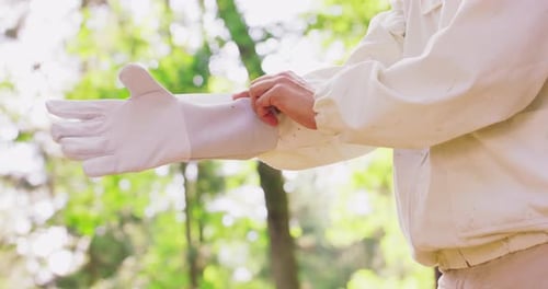 Closeup Right Hand of Male Beekeeper in White Protective Suit Wears a White Protective Glove and