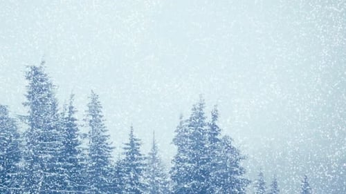 Snowfall in Winter in the Forest Soft Snowy Christmas Morning with Falling Snow