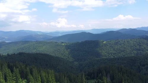 Forest Over The Mountains Aerial View