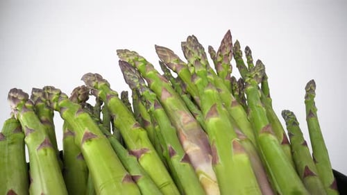 Asparagus 26