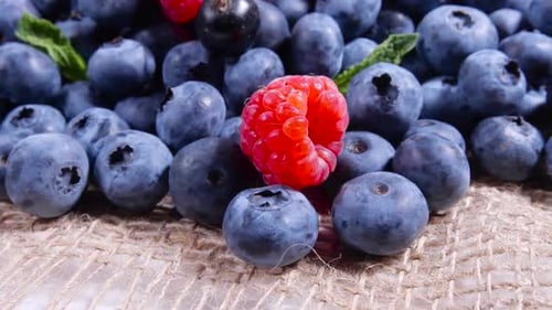 Fresh Blueberries, Raspberries, and Black Currants on Burlap