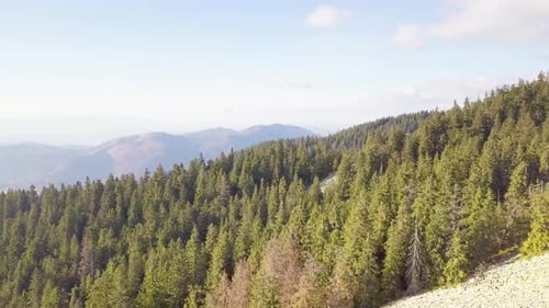 Wonderful Landscape From a Bird's Eye View