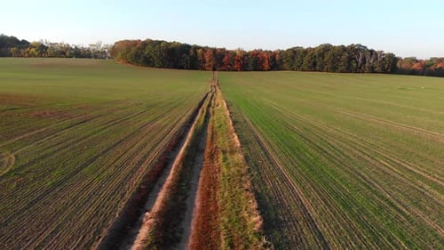 Felder im Licht des Sonnenuntergangs
