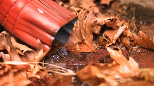 Gutter