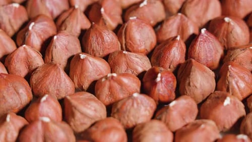 Shelled Hazelnuts Close Up