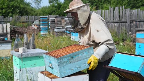 Imker im Schutzanzug inspiziert seine Reihe von Bienenstöcken im Bienenhaus mit Bienen, die um ihn herum schwärmen
