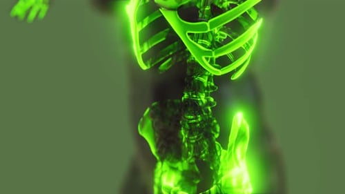 Glowing Green Human Rib Cage and Spine 3D Scan
