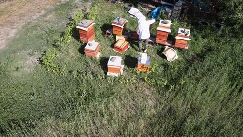 beekeeper
