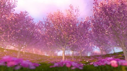Cherry Trees And Dandelions