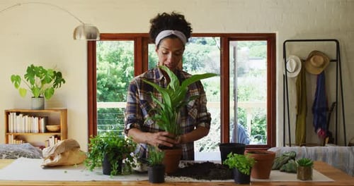 Woman Potting Plants Indoors in Natural Light