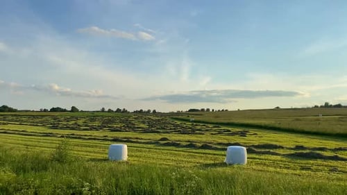 Rural Farmland with Hay Bales in Summer