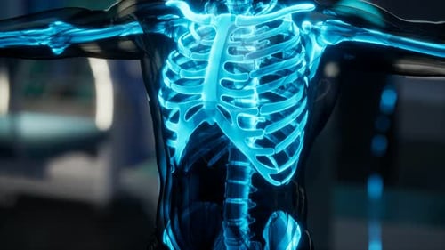 Human Skeleton Bones Scan Exam in Lab