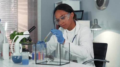 Woman Conducting Scientific Experiment With Mouse in Lab