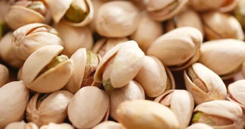 Pile of Fresh Pistachios Close Up View