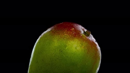 Green and Red Mango on Black Background