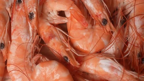 Close Up of Delicious Orange Cooked Shrimp