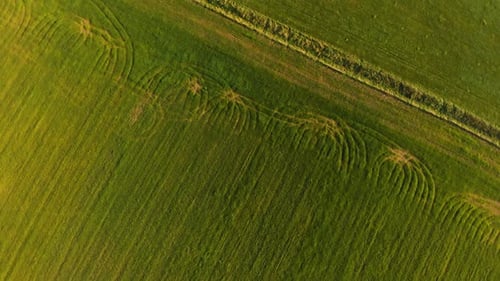 green farm fields drone view spin