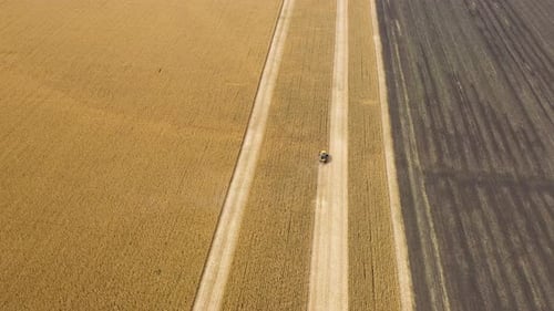Combine Machines Harvesting Corn In The Field 4