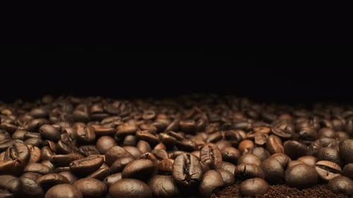 Beautiful View Of Coffee Beans