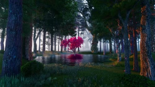 Arbre magique dans les bois 2K