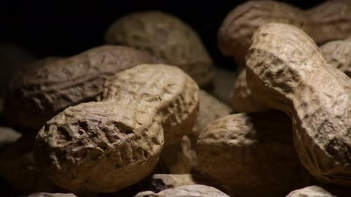 Close Up of Shelled Peanuts for Healthy Snacks