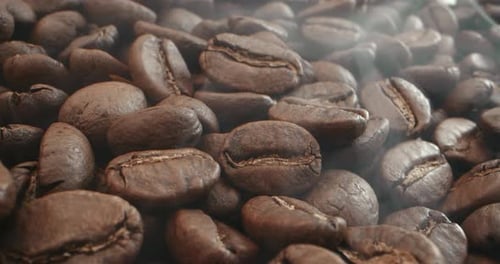 Fresh Coffee Beans Pile Close Up