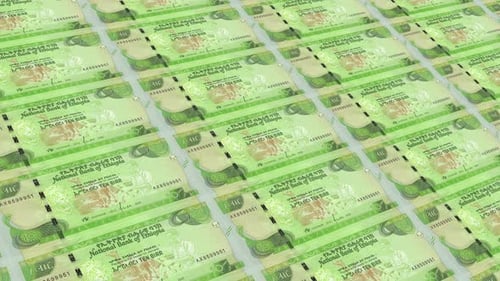 Ethiopia Money / 10 Ethiopian Birr 4K