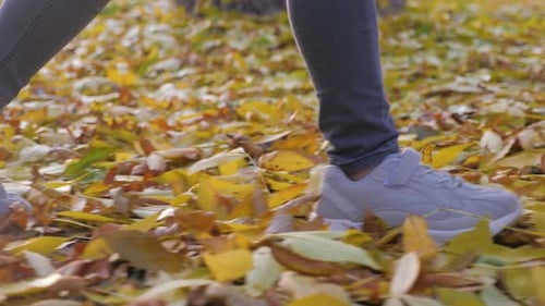 A Small Child Walks on the Yellow Fallen Leaves in the Autumn Park. Concept of Autumn Walks.