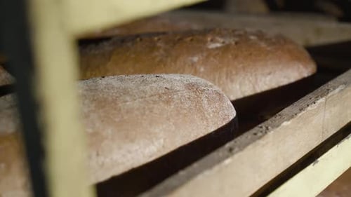 Close View of Freshly Baked Loaves of Rye Bread with Bran on Stack for Commerce