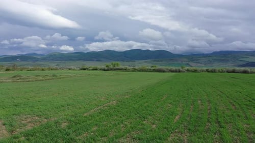 Fields on the background of mountains
