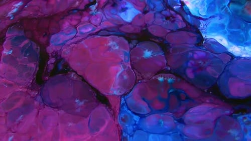 Abstract Purple and Blue Colors Mixing and Swirling