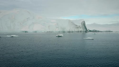 Flock Of Birds Flying Over Sea By Iceberg