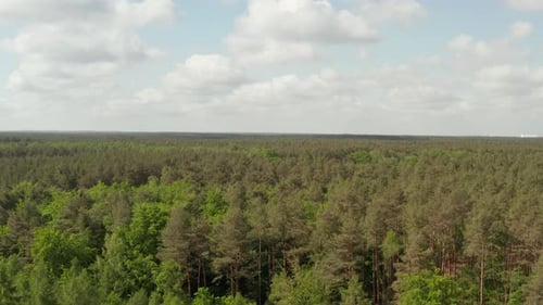 AERIAL: Slow Flight Forward Towards Rich Green Forest Tree Tops Over Germany European Woods with