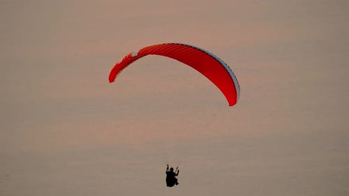 Freedom