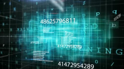 Digital code network rendering