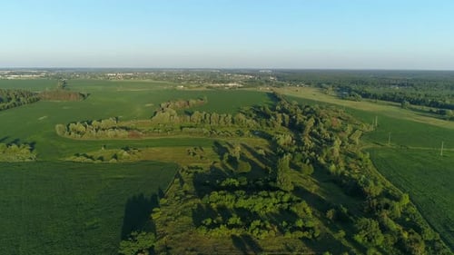 Aerial View Beautiful Landscape in Summer Drone Flying Corn Field in Sunny Day
