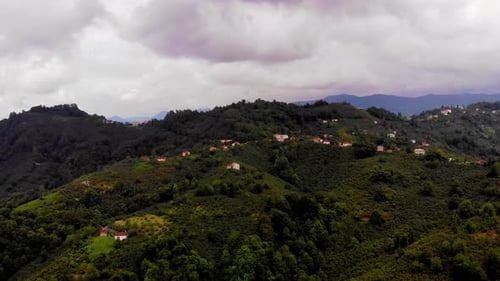 Mountains Forest and Houses