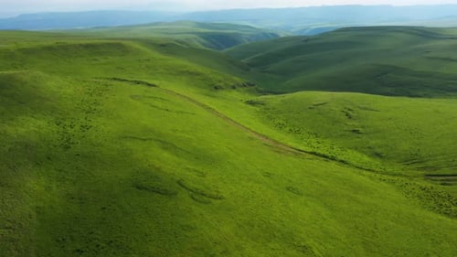 Aerial view on the beautiful summer landscape with country road and green fields